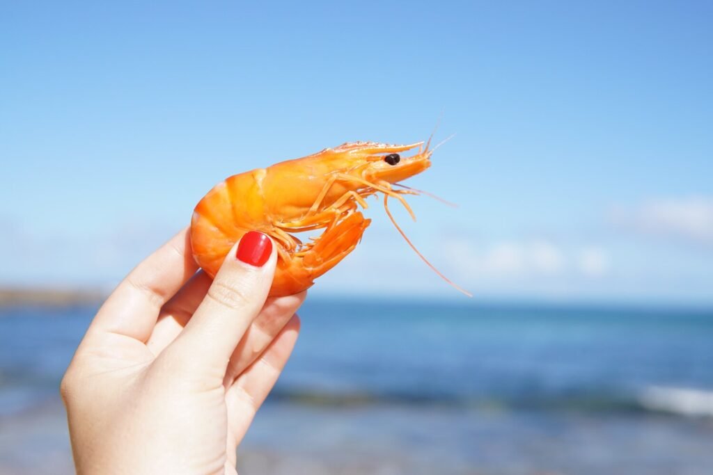 O que é o Camarão do Mar?