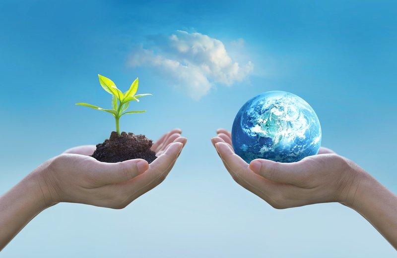 Definição de Meio Ambiente