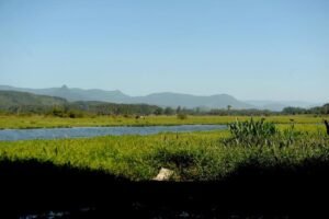 O que é uma Lagoa? Descubra Tudo Sobre Esse Ecossistema Fascinante!