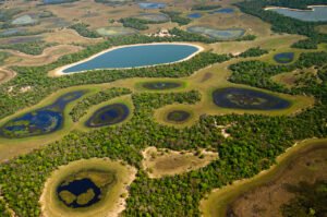 Rios do Pantanal: Explorando a Beleza e a Importância